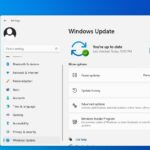 windows 11 KB5060842 failed to install