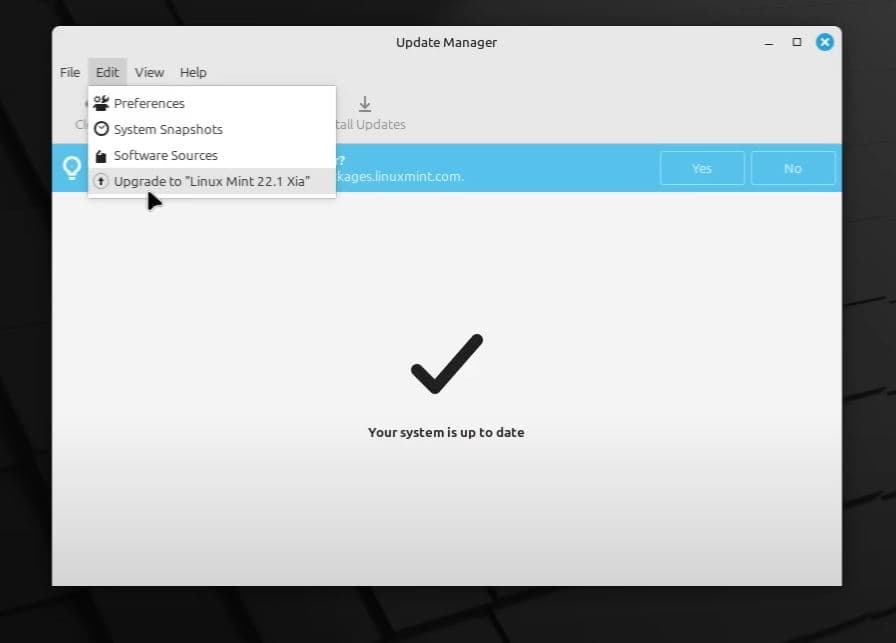 How to Upgrade to Linux Mint 22.1