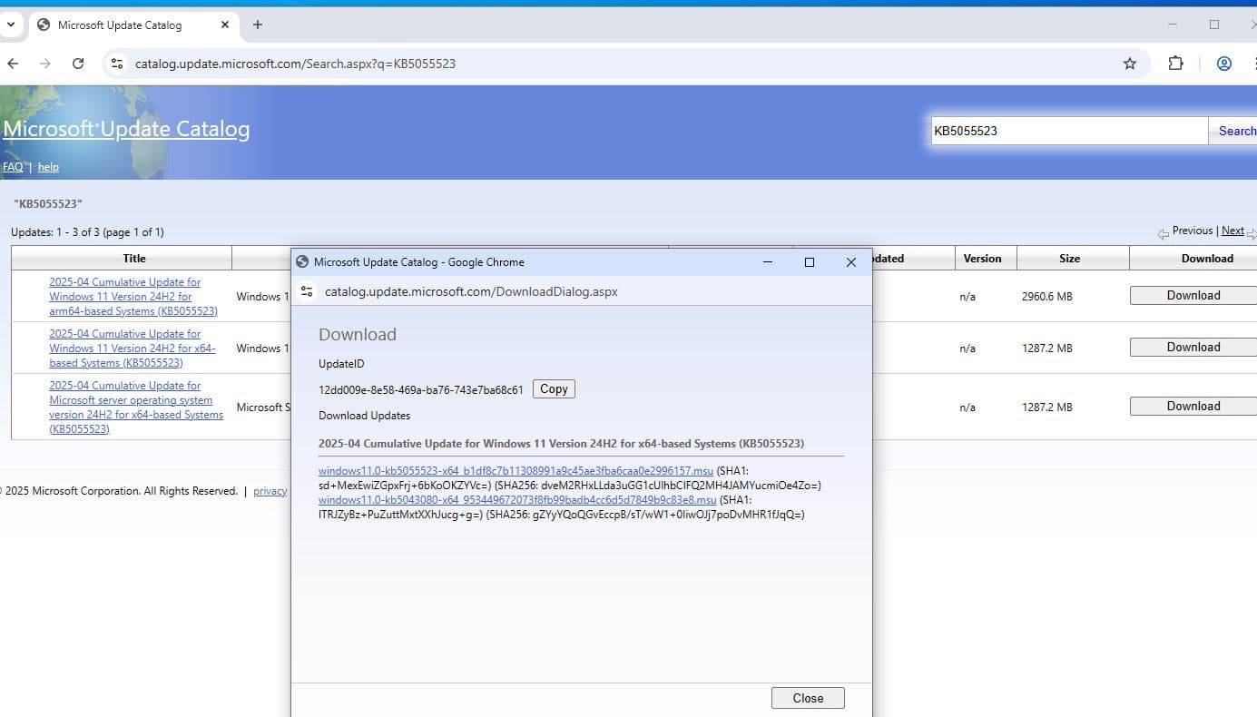 windows 11 offline installer