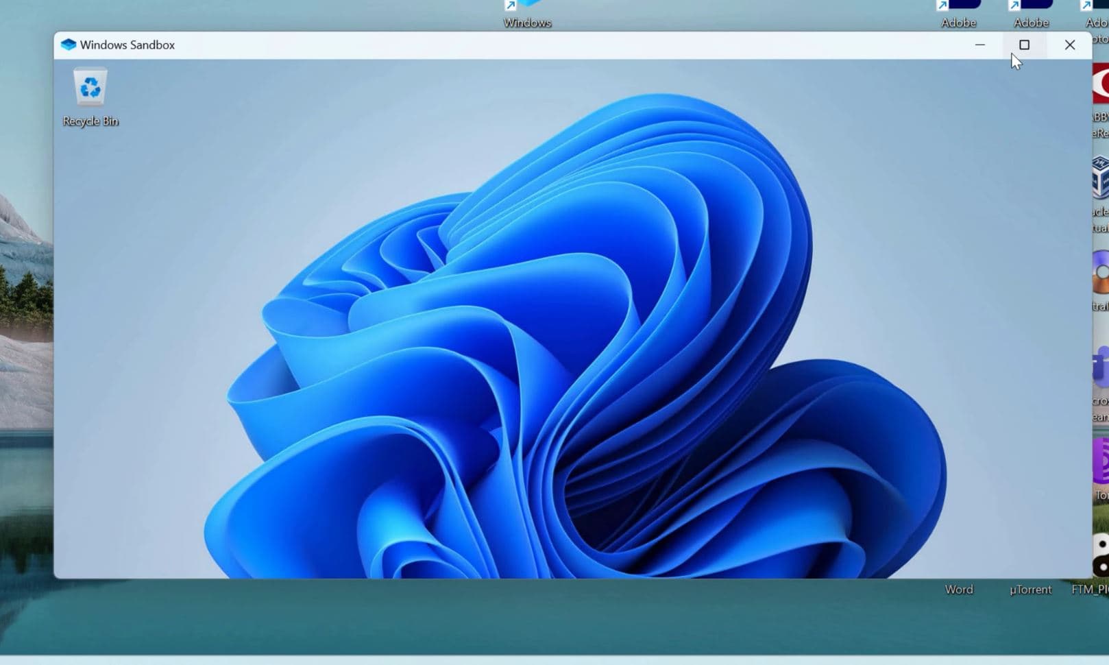 Windows sandbox screen