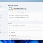 KB5060842 (OS Build 26100.4343) for windows 11 24H2