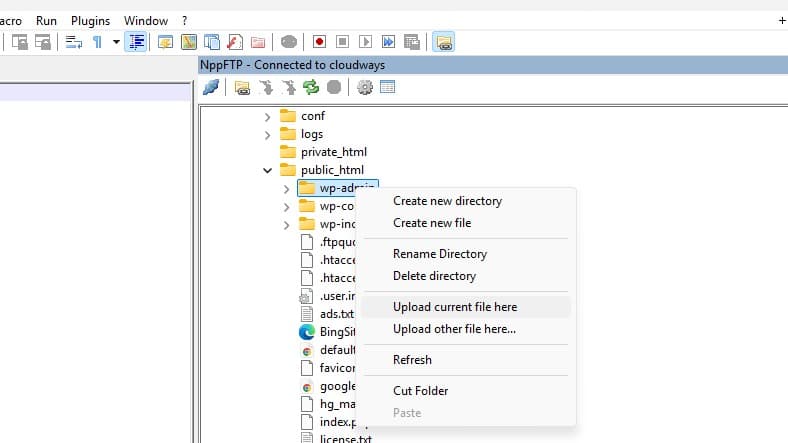 manage server files using NppFTP